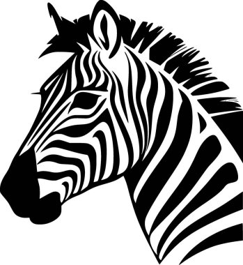Zebra - siyah ve beyaz vektör çizimi
