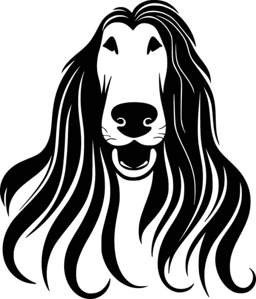 stock vector Afghan hound - minimalist and simple silhouette - vector illustration