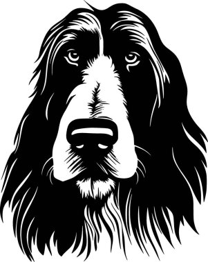 Afghan hound - high quality vector logo - vector illustration ideal for t-shirt graphic clipart