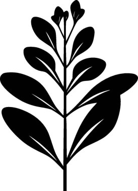 Eucalyptus - black and white vector illustration clipart