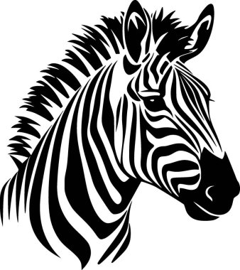 Zebra - black and white vector illustration clipart