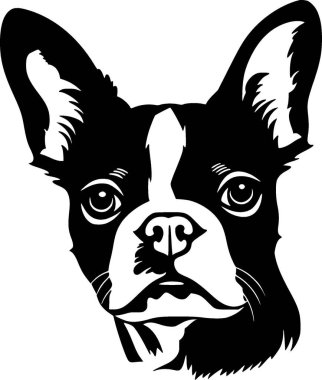 Boston terrier - black and white vector illustration clipart