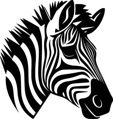 Zebra - black and white vector illustration clipart