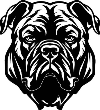 Cane corso - black and white vector illustration clipart