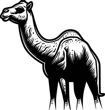 Camel - black and white vector illustration clipart