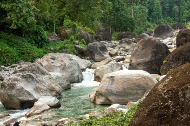 Jaldhaka Nehri (ayrıca Dichu olarak da bilinir), Brahmaputra 'nın bir kolu ve Hindistan, Butan ve Bangladeş' ten geçen sınır ötesi bir nehirdir.