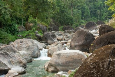 Jaldhaka Nehri (ayrıca Dichu olarak da bilinir), Brahmaputra 'nın bir kolu ve Hindistan, Butan ve Bangladeş' ten geçen sınır ötesi bir nehirdir.