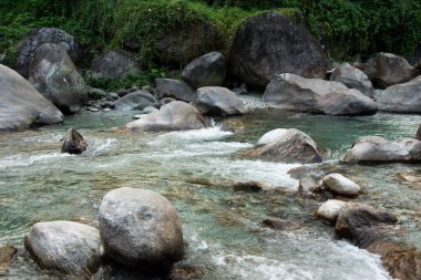 Jaldhaka Nehri (ayrıca Dichu olarak da bilinir), Brahmaputra 'nın bir kolu ve Hindistan, Butan ve Bangladeş' ten geçen sınır ötesi bir nehirdir.