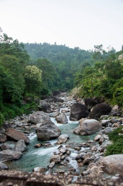 Jaldhaka Nehri (ayrıca Dichu olarak da bilinir), Brahmaputra 'nın bir kolu ve Hindistan, Butan ve Bangladeş' ten geçen sınır ötesi bir nehirdir.