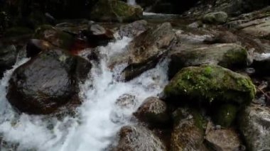 Doğu Sikkim 'in gizli şelalesi ziyaretçiler için huzurlu ve manzaralı bir yer sunuyor..