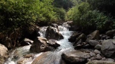 Doğu Sikkim 'in gizli şelalesi ziyaretçiler için huzurlu ve manzaralı bir yer sunuyor..