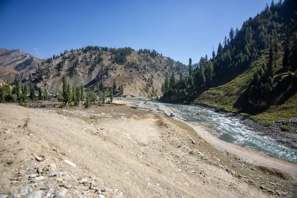 Dawar, Jammu ve Kaşmir 'in Bandipora ilçesine bağlı Gurez Tehsil ilçesine bağlı bir köydür.