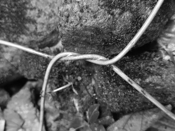 Kayaları Bağlayan Kabloların Görüntüsünü Kapat — Stok fotoğraf