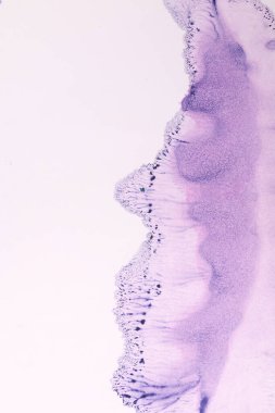 Kağıt desenli soyut suluboya sıçraması