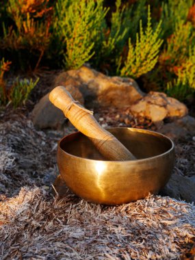 Vahşi doğaya yerleştirilmiş şarkı kasesi