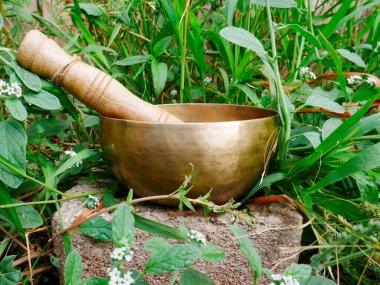 Arka planda yapraklar olan bir kayanın üzerinde şarkı söylemek.