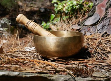 Arka planda doğa olan bir şarkı kasesi.