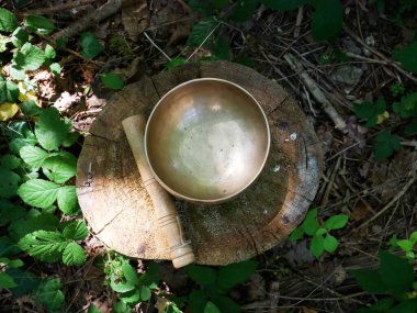 Top view of a singing bowl on a tree trunk clipart