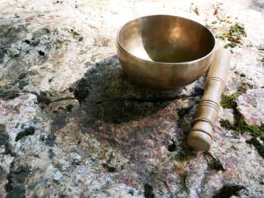 Bir kayanın üzerinde şarkı söyleyen bir kasenin fotoğrafı.