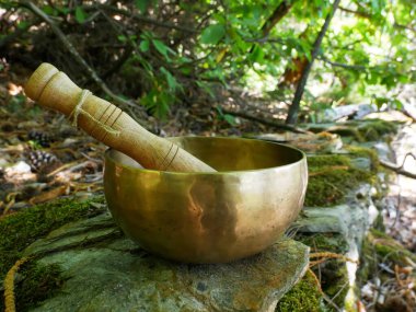 Arka planda doğa olan bir şarkı kasesi.