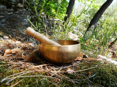 Arka planda orman olan şarkı söyleyen bir kase.