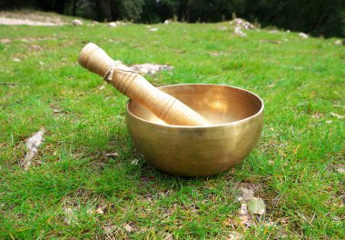 Sonbahar mevsiminde çimlere konan şarkı kasesi