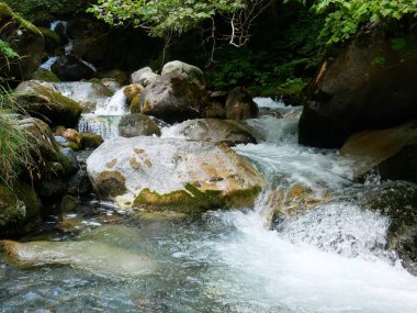 Fransa 'nın güneybatısındaki Pireneler Ulusal Parkı' nda bir nehre yakın çekim.