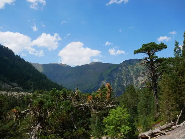 Güneşli bir günde Fransa 'nın güneybatısındaki Pireneler Ulusal Parkı manzarası