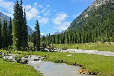 Güzel taze yeşil dağ otlakları, yansıma ve orman ile nehir ile dağlarda yürüyüş parkuru ile Pastoral yaz manzara. Terskey Alatoo dağları, Tian-Shan, Karakol, Kırgızistan