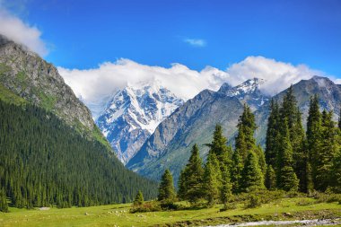 Dağlarda yürüyüş patikaları olan, güzel yeşil dağ çayırları olan, dağların ve bulutların tepesinde huzurlu bir yaz manzarası. Terskey Alatoo Dağları, Tian-Shan, Karakol, Kırgızistan