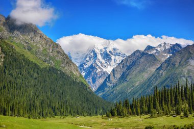 Dağlarda yürüyüş patikaları olan, güzel yeşil dağ çayırları olan, dağların ve bulutların tepesinde huzurlu bir yaz manzarası. Terskey Alatoo Dağları, Tian-Shan, Karakol, Kırgızistan