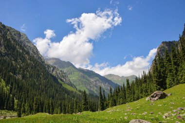 Dağlarda yürüyüş patikaları olan, güzel yeşil dağ çayırları olan, dağların ve bulutların tepesinde huzurlu bir yaz manzarası. Terskey Alatoo Dağları, Tian-Shan, Karakol, Kırgızistan