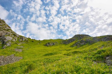 Dağlarda yürüyüş parkurları olan, güzel yeşil dağ çayırları ve bulutları olan huzurlu bir yaz manzarası. Terskey Alatoo Dağları, Tian-Shan, Karakol, Kırgızistan