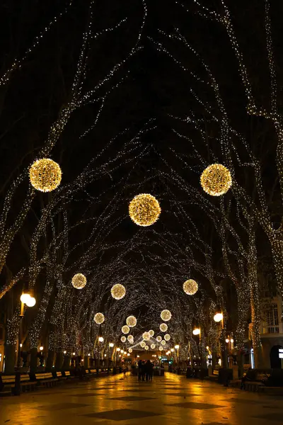 Parlak taşaklı ağaçlarla dolu bir gece sokağı. Paseo del Borne Palma Mallorca