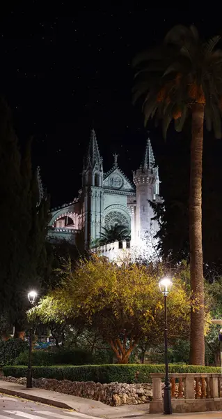 Bereketli yeşilliklerle çevrili aydınlanmış Gotik mimarinin olduğu büyüleyici bir gece sahnesi..