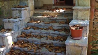 Kuru yapraklarla kaplı taş basamaklar evin ön kapısına açılıyor..