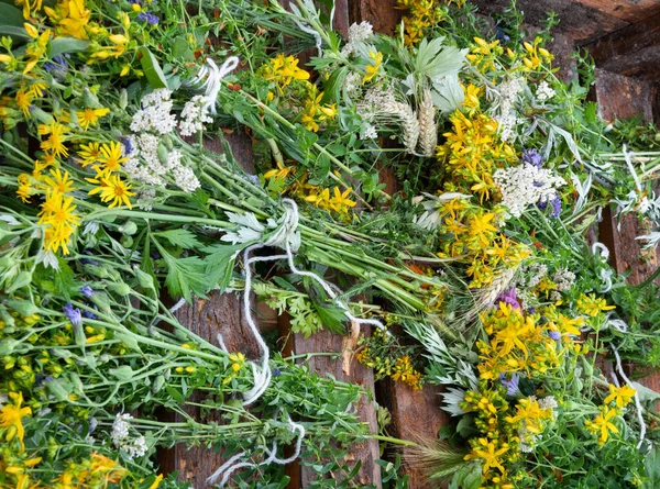 stock image  A collection of summer herbs characteristic of Western Europe. Yarrow Achillea millefolium, St John s wort Hypericum perforatum, 