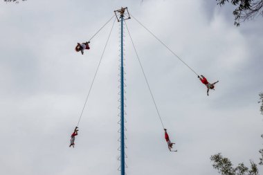 Danza de los Voladores veya Papantla broşürleri, eski bir Mezoamerikan seremonisi / ritüeli bugün hala Meksika 'da sergilenmektedir.