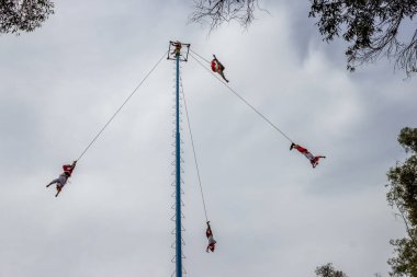 Danza de los Voladores veya Papantla broşürleri, eski bir Mezoamerikan seremonisi / ritüeli bugün hala Meksika 'da sergilenmektedir.