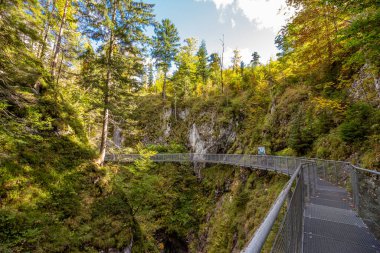 Mittenwald yakınlarındaki vahşi Leutaschklamm, Bavyera, Almanya 'daki şelaleye kadar