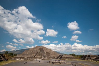 Bali Endonezya 'da yağmurlu bir günde pirinç tarlası ve tarla
