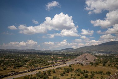 Bali Endonezya 'da yağmurlu bir günde pirinç tarlası ve tarla