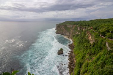 Bali Endonezya 'da yağmurlu bir günde pirinç tarlası ve tarla