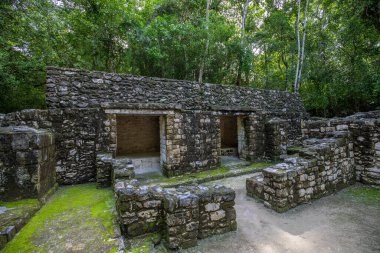 Calakmul, Meksika Campeche ormanlarının derinliklerindeki Maya arkeolojik alanı.