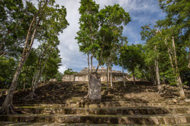 Calakmul, Meksika Campeche ormanlarının derinliklerindeki Maya arkeolojik alanı.