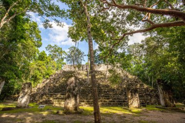 Calakmul, Meksika Campeche ormanlarının derinliklerindeki Maya arkeolojik alanı.