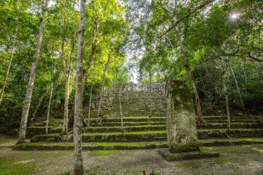 Calakmul, Meksika Campeche ormanlarının derinliklerindeki Maya arkeolojik alanı.
