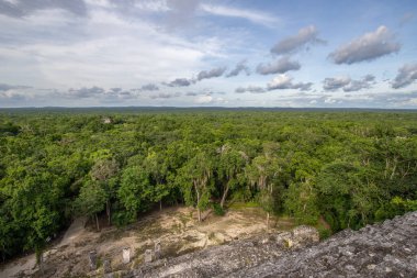 Calakmul, Meksika Campeche ormanlarının derinliklerindeki Maya arkeolojik alanı.