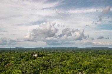 Calakmul, Meksika Campeche ormanlarının derinliklerindeki Maya arkeolojik alanı.