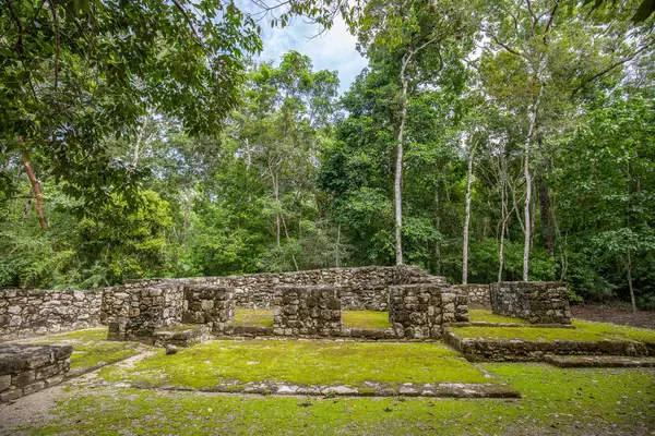 Calakmul, Meksika Campeche ormanlarının derinliklerindeki Maya arkeolojik alanı.